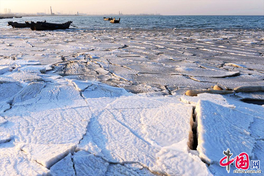 12月29日，山东青岛胶州湾初现的海冰。中国网图片库