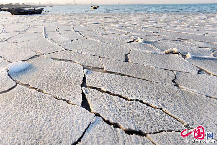 12月29日，山东青岛胶州湾初现的海冰。中国网图片库