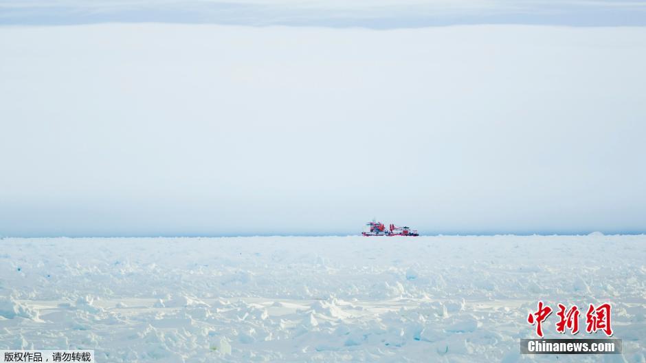 俄罗斯船只被困南极6天 “雪龙”号救援受阻[组图]