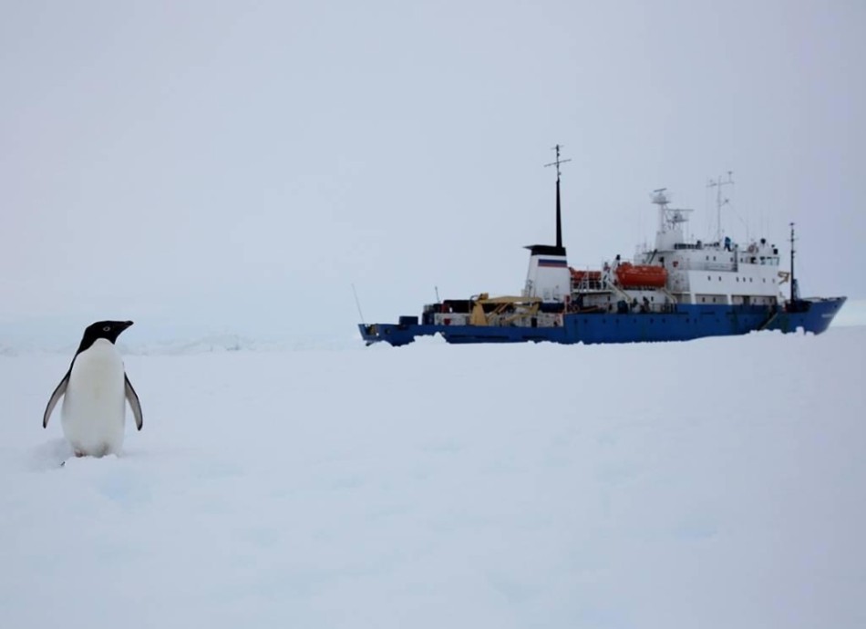 俄科研船被困南极冰面