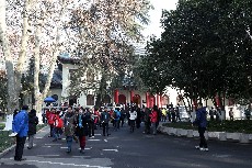 1月1日，市民在南京市政府大院参观。 中国网图片库 颜闽航 摄