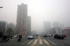 2014年1月6日，在河南省週口市，車輛和行人在霧中前行。中國網圖片庫 金月全 攝