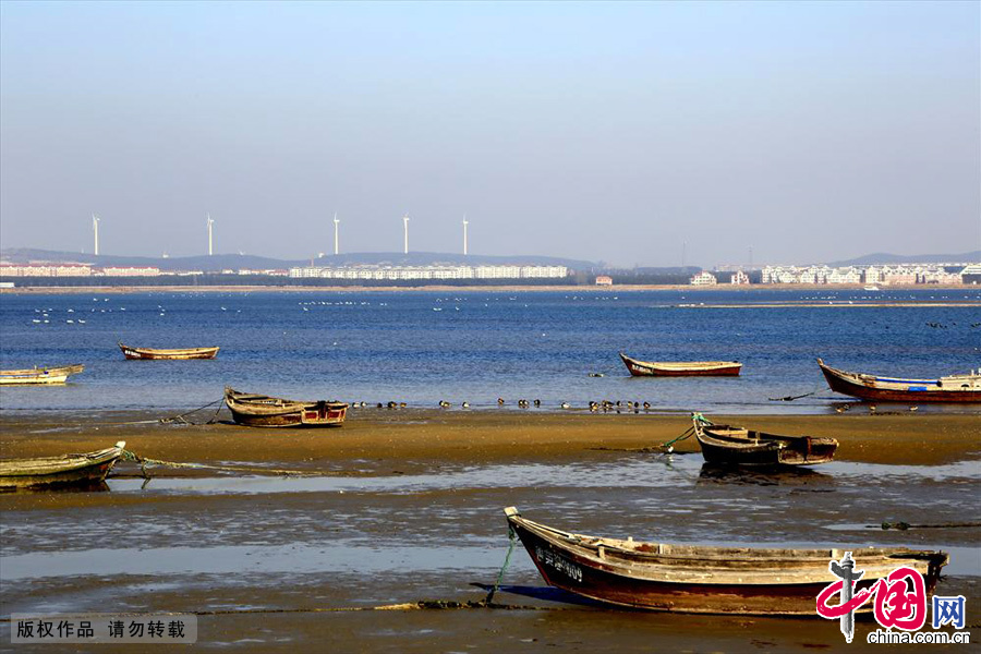 岸边停靠的渔船星星点点，点缀着冬日里安静的海滩。中国网图片库成卫东/摄