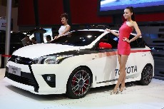2013年11月6日，河南郑州，国际汽车展上展销的品牌汽车。 