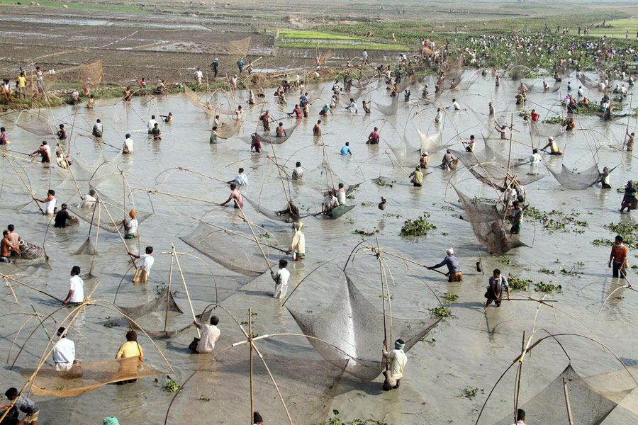 印度：捕鱼庆丰收[组图]