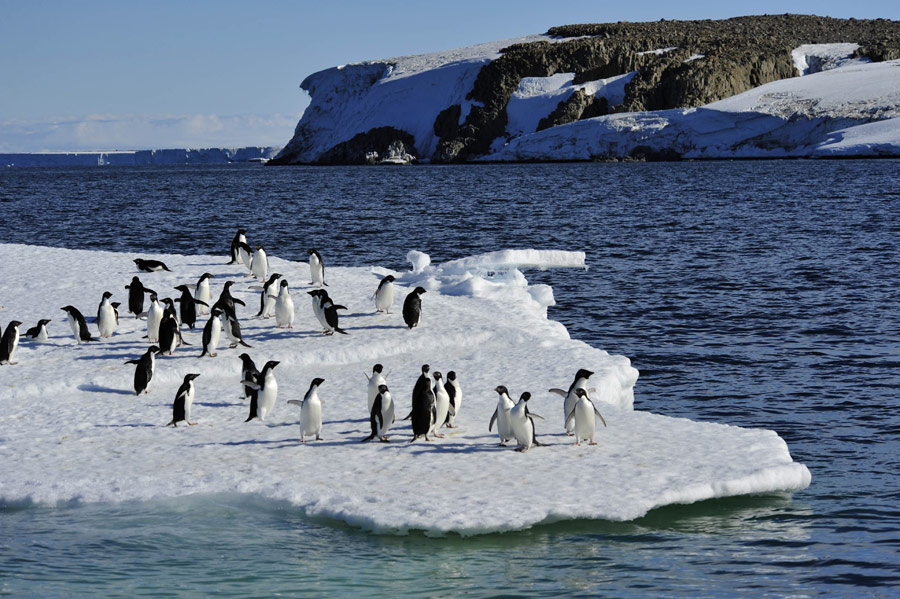 南极：维多利亚美景[组图]