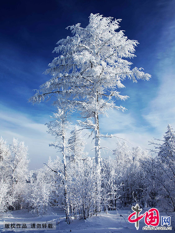 在冬季，玉树一样的冰棱和雾凇玲珑剔透，纯洁迷人。中国网图片库 王伟/摄 