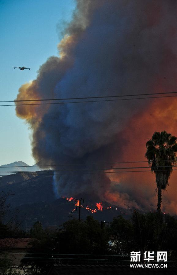 （国际）（9）洛杉矶山火袭城