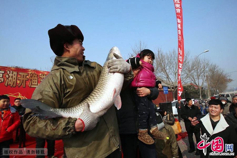 图为1月18日，“新春鱼王”拍卖会上一位小伙子正在抱起大鱼向人们展示。 中国网图片库 李俊生/摄