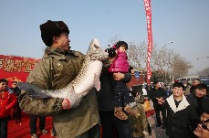 1月18日，“新春鱼王”拍卖会上一位小伙子正在抱起大鱼向人们展示。 中国网图片库 李俊生 摄