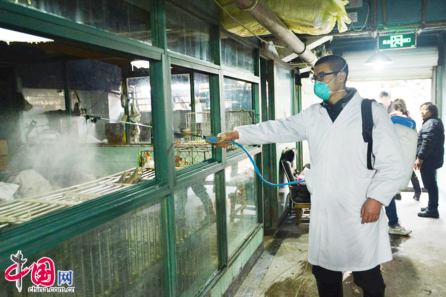 2014年01月24日，浙江省杭州市，杭州上城区疾控中心的工作人员在对已关闭的某农贸市场活禽交易摊位进行消毒。中国网图片库 龙巍摄影