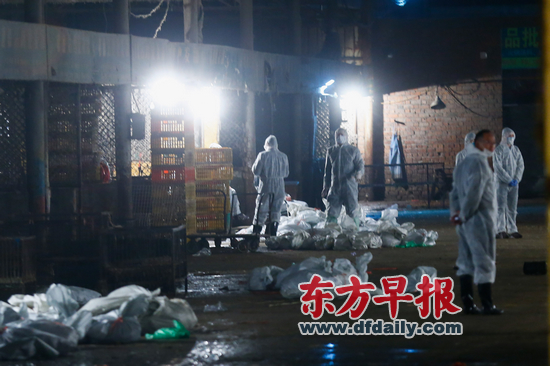 多地新增H7N9禽流感病例:浙江新增5例 上海新