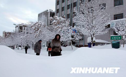 新疆伊犁遭遇强降雪天气