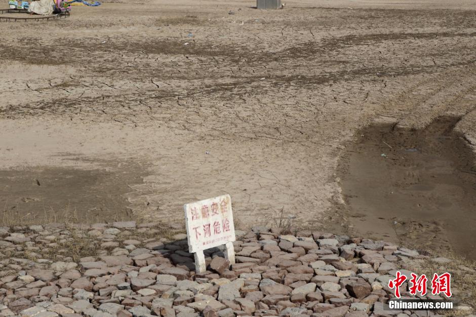 黄河郑州调蓄池水位创历史最低 民众在裸露河床上放牧
