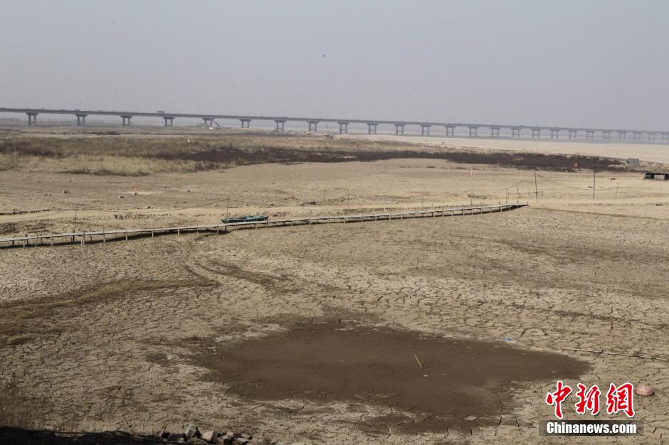 黄河郑州调蓄池水位创历史最低 民众在裸露河床上放牧