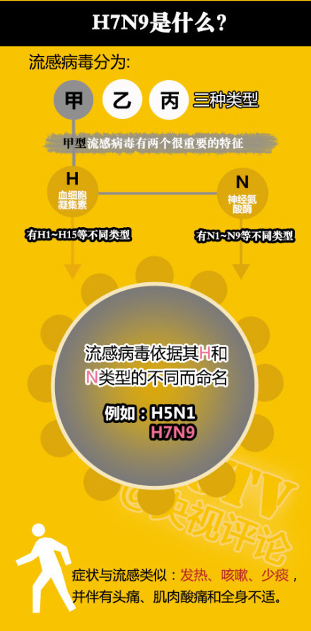 h7n9流感病毒症状与流感类似:发热,咳嗽,少痰,并伴有头痛,肌肉酸痛和