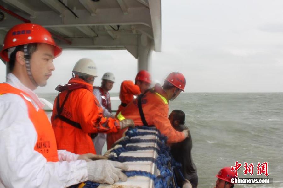 珠江口一集装箱船被撞沉没 5名船员失踪[组图]