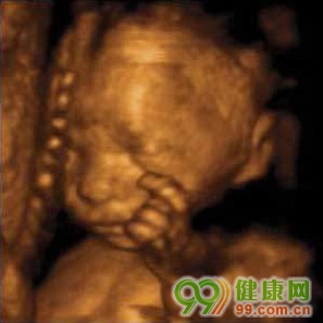 什么叫四维图片 001ec949c35c1463dbe75a.jpg