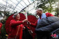   2014年02月12日，北京，“这朵美丽的玫瑰送给你！愿你永远都漂亮！”80多岁的周老先生将手中的玫瑰花递给老伴儿。上午，99对金婚老人接收北京植物园的邀约，提前度过了一个花前月下的情人节。 图片来源:法制晚报/CFP