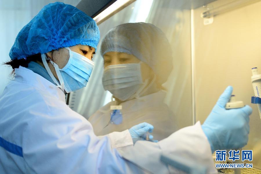 目击H7N9禽流感实验室检测过程