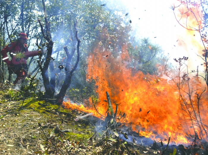 四川冕宁森林火灾 过火面积约18公顷