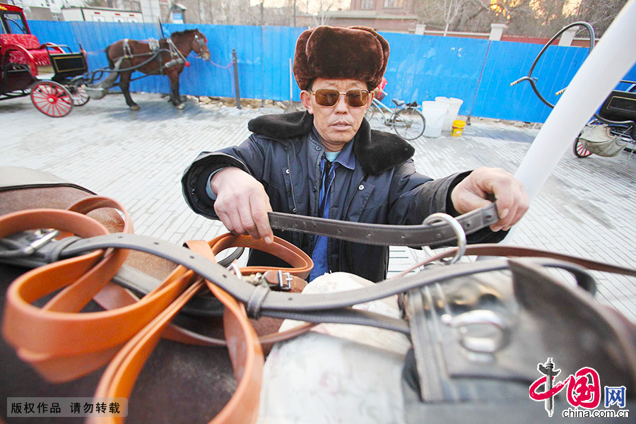 王永西为驿站里的马安装马具，一名驭手一天的工作就此开始。中国网图片库 澎湃/摄 