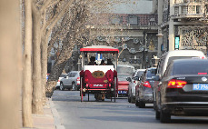 在天津五大道旅游观光中心，古老的交通工具——马车以及最古老的“司机”马夫是一道靓丽的风景线。马年到来，真马也成为了市民们追捧的对象。