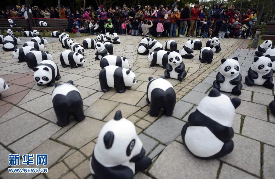 2月21日，熊貓“快閃”活動吸引了眾多遊客的關注。