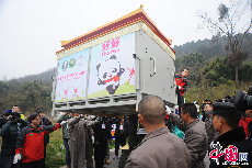 2月22日中午，中国保护大熊猫研究中心两只大熊猫“星徽”、“好好”正式从都江堰基地出发，启程前往比利时，参与为期15年的大熊猫科研合作与交流项目。
