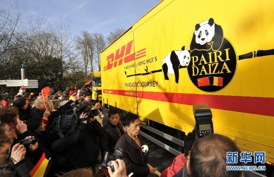 比利时为熊猫“疯狂”