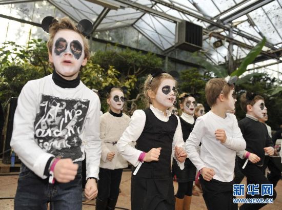 比利时为熊猫“疯狂”