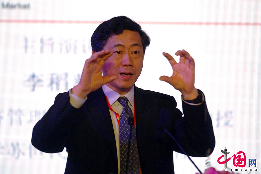  2月21日，中國交易市場第一屆高峰論壇在大連國際會議中心舉行。清華大學中國與世界經濟研究中心主任李稻葵發表演講。中國網記者 寇萊昂 攝