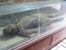 新疆出土的古屍均屬於幹屍類型，它是一種未經人工處理而在新疆乾燥、無菌、高溫的特殊條件下自然形成的幹屍。