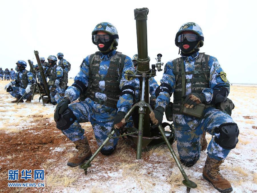 中国海军陆战队6旅图片