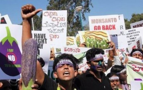 关注转基因食品:国外如何监管转基因食品