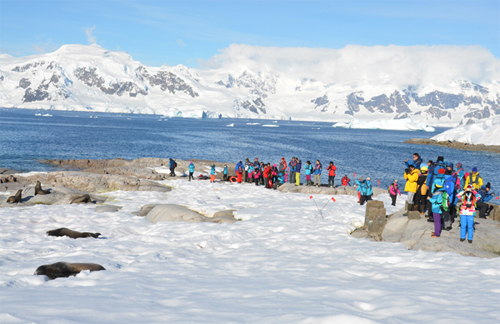 中国需构建自己的南极旅游服务链