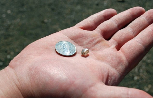 据英国《每日邮报》3月12日报道，美国男子布兰登·卡伦达河在阿肯色州钻石坑州立公园寻得一颗2.89克拉的璀璨钻石。据了解，钻石坑州立公园因其丰富的宝石资源而享誉全美。值得一提的是，钻石坑州立公园的宗旨是，“发现者即拥有者”。