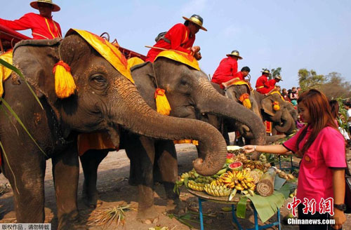 泰国迎来国家大象日 大象享受水果大餐