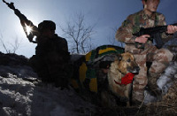 2014年3月15日，“黑河好八連”長髮哨所的戰士們和軍犬“七夜”進行最後一次戰術訓練。