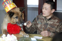 2014年3月15日，“黑河好八連”長髮哨所的戰士們特意買來蛋糕，提前為“七夜”慶祝生日快樂。