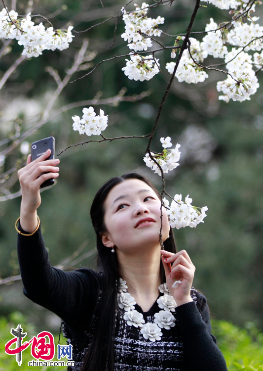 2014年3月23日，游人在南京林业大学樱花大道下用手机自拍留影。 中国网图片库董金林摄影