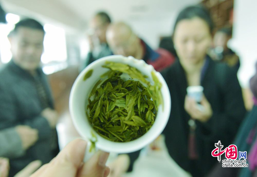 2014西湖龙井明前茶拍卖会 最贵达1.6万元一公斤