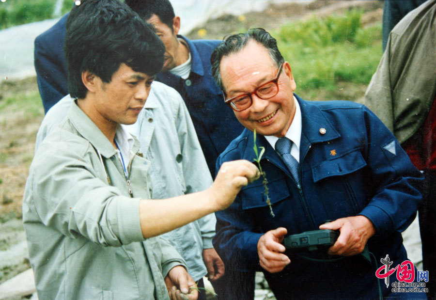 日本专家原正市（右一）传授推广水稻旱育稀植技术