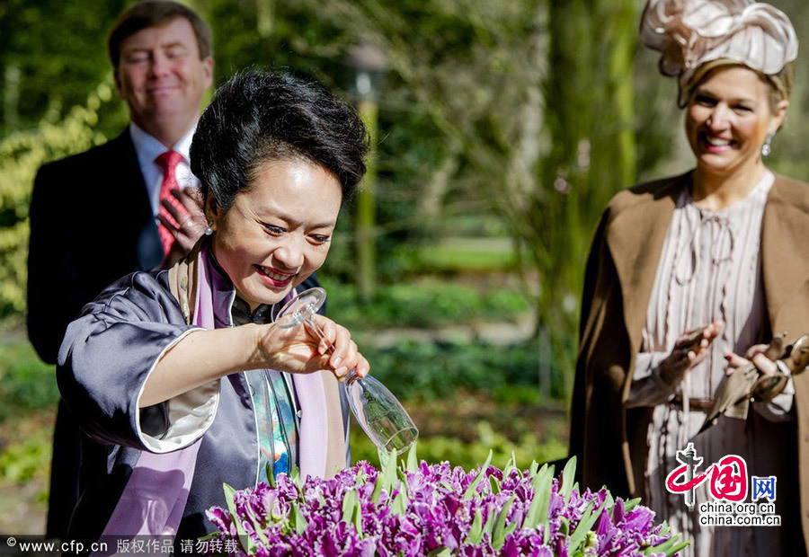 夫人外交：当地时间2014年3月23日，荷兰利瑟，中国国家主席习近平夫人彭丽媛给郁金香花施洗礼，郁金香为荷兰国花。