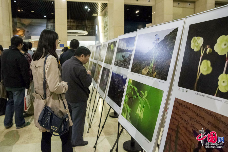 西藏雅魯藏布大峽谷生物多樣性圖片展在京舉行[組圖]