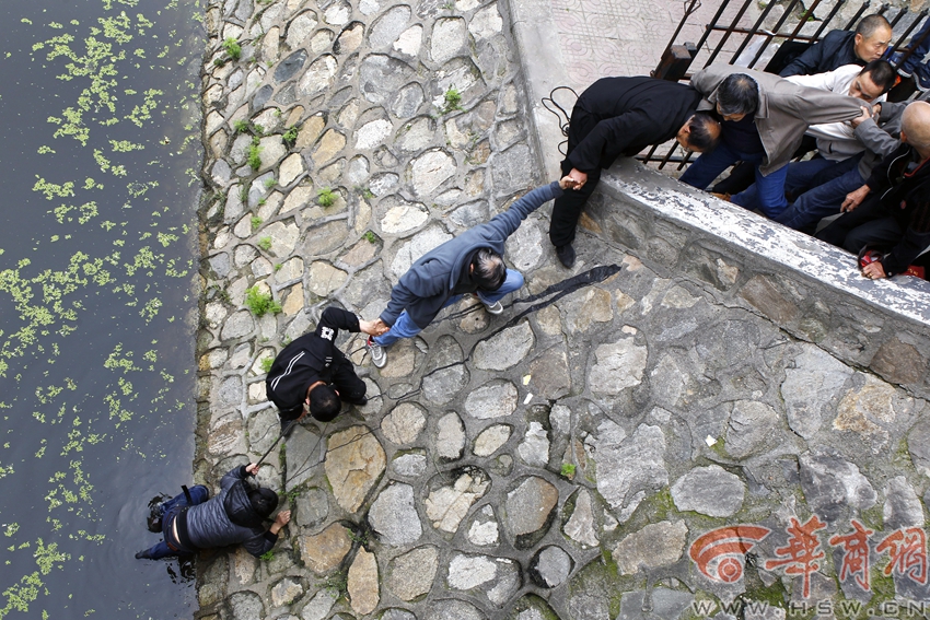 小夥翻護欄不慎墜入護城河 市民'手拉手'將其救出[組圖]