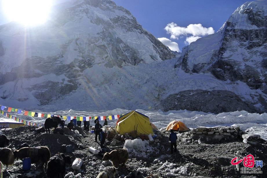 珠峰大雪崩惨剧或令今年登山季提前结束[组图]