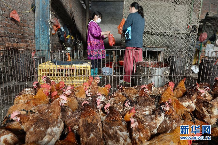 上海正式恢复活禽交易[组图]