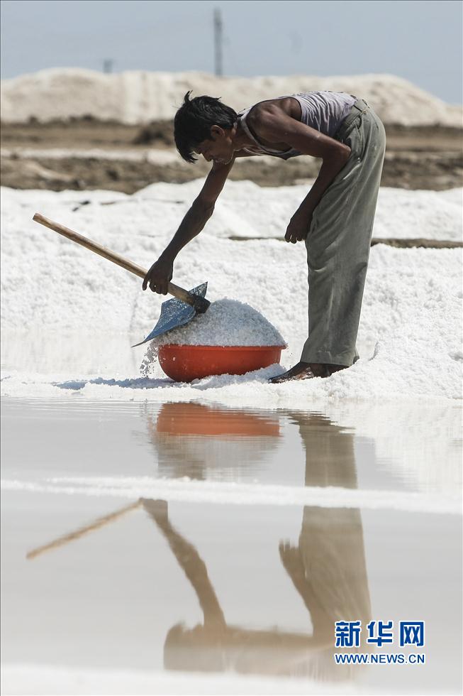 印度古吉拉特邦古法曬鹽場的勞工