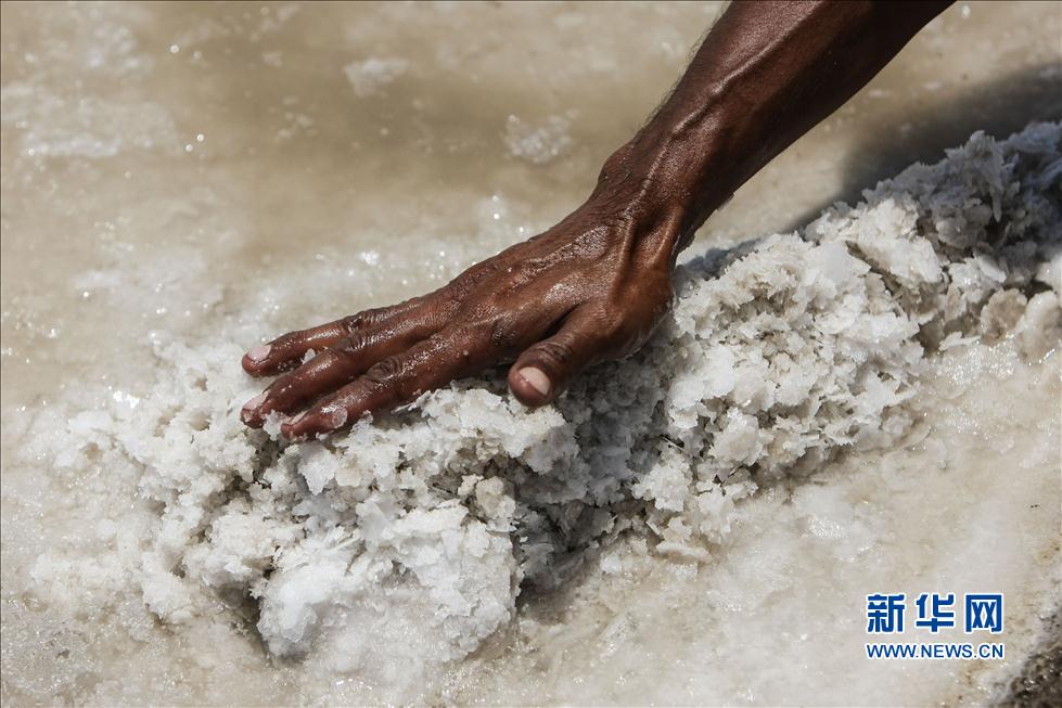印度古吉拉特邦古法晒盐场的劳工